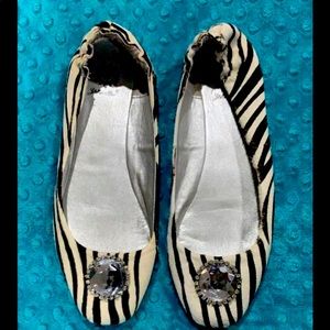Zebra Flats